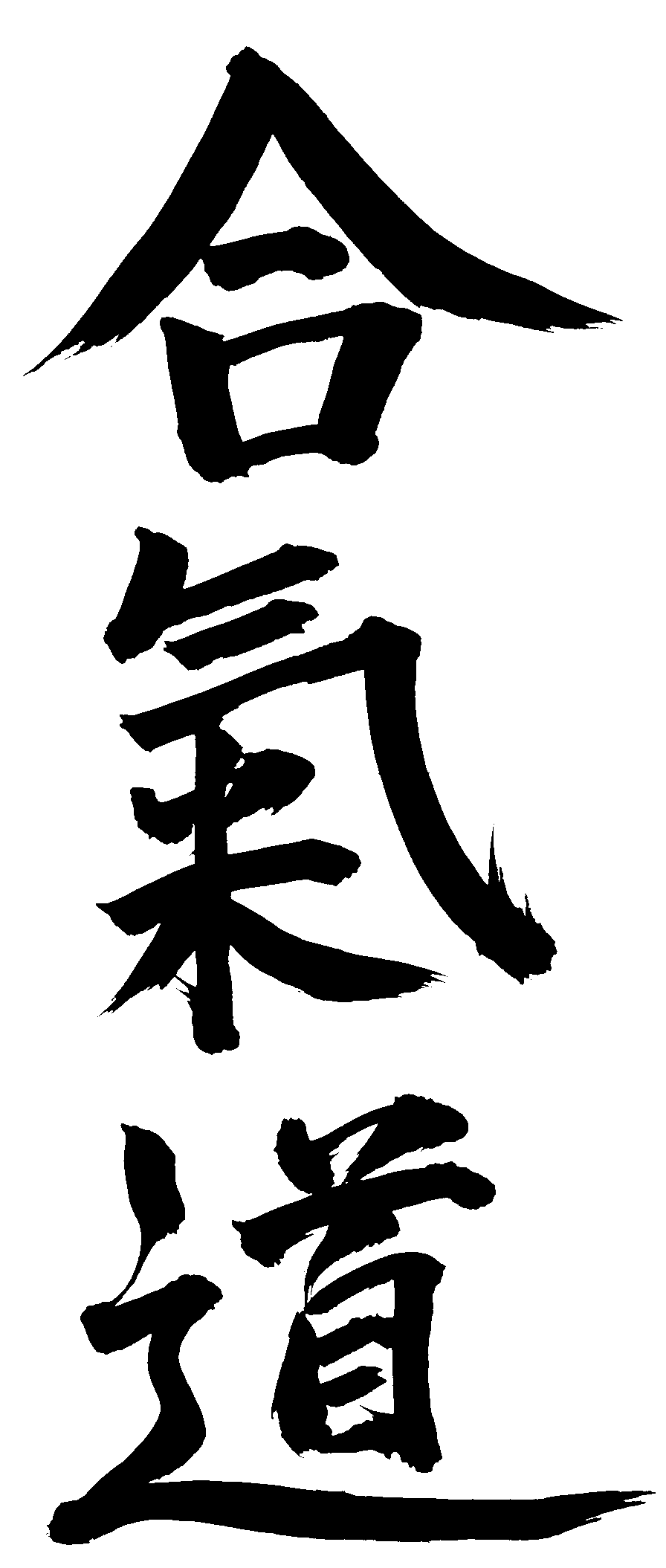 aikido ideogram